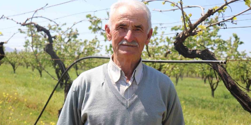 2025’te rekolte %80 düşmüştü! Üretici bu yıl üzüme ‘Bebek’ gibi bakıyor 3